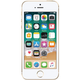 iPhone SE (1st Gen) / 32GB / 2 - Very Good / Gold